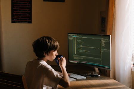 Mobile App Developer